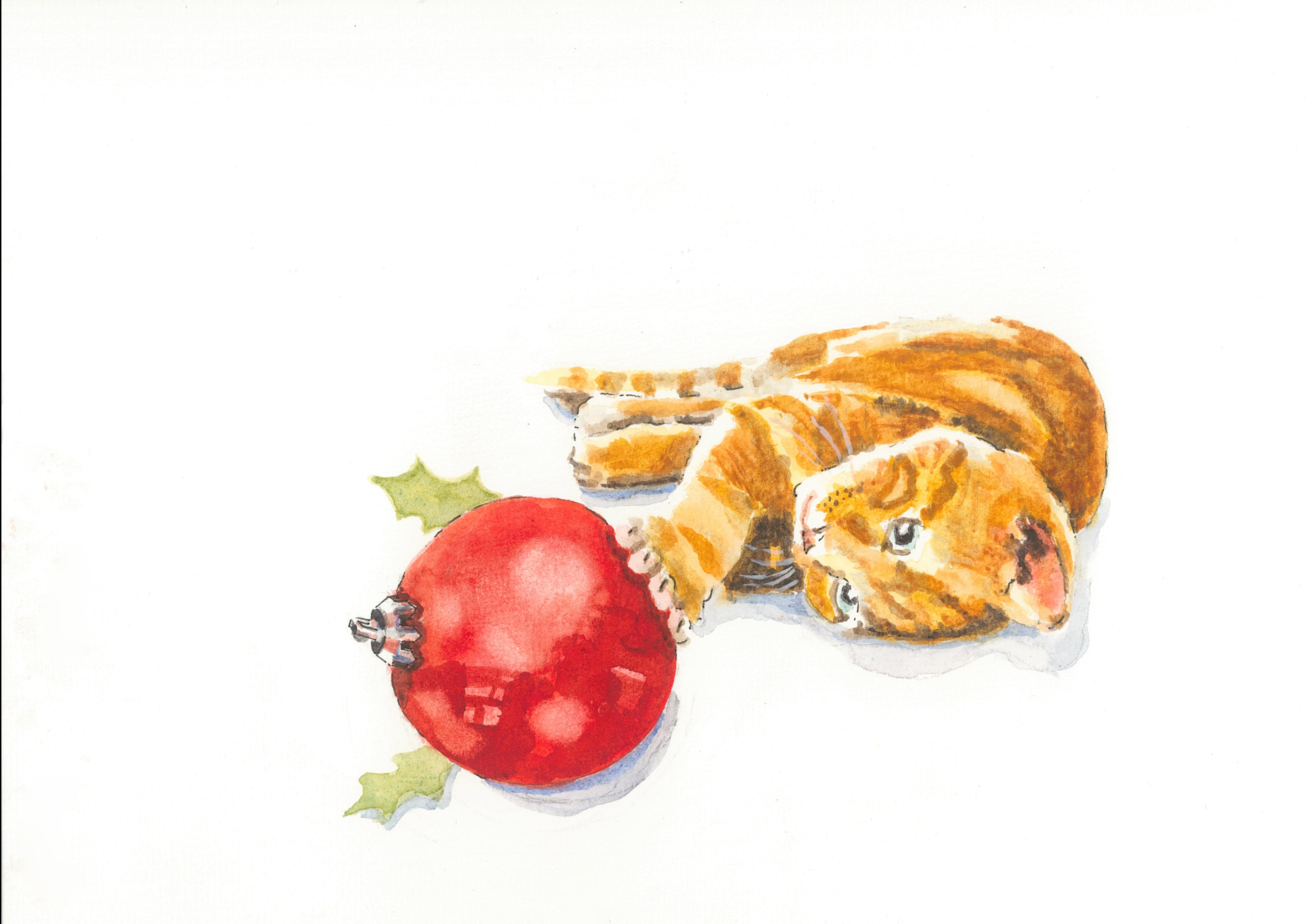Greeting Card - Christmas Cat