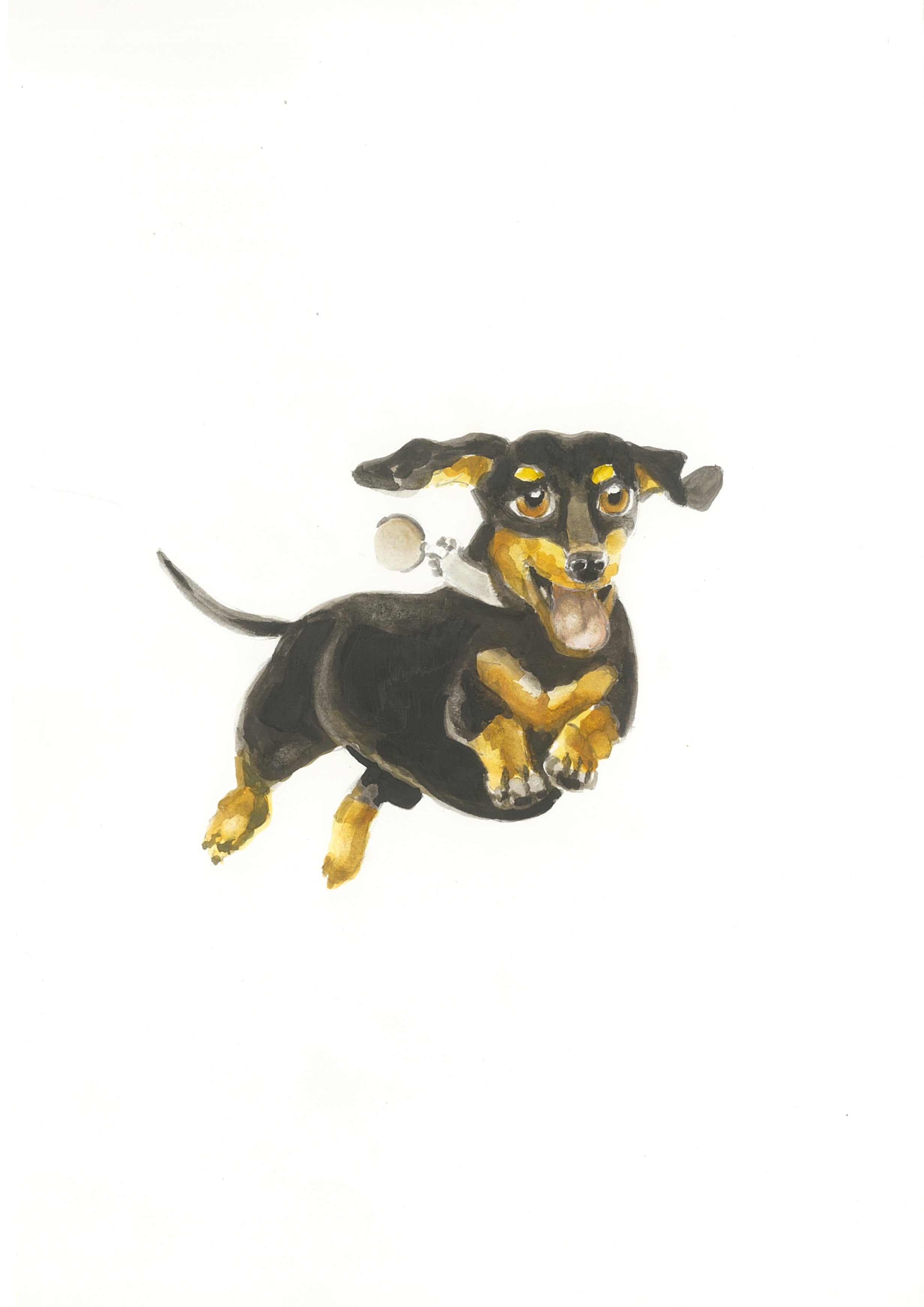 Greeting Card - Dachshund