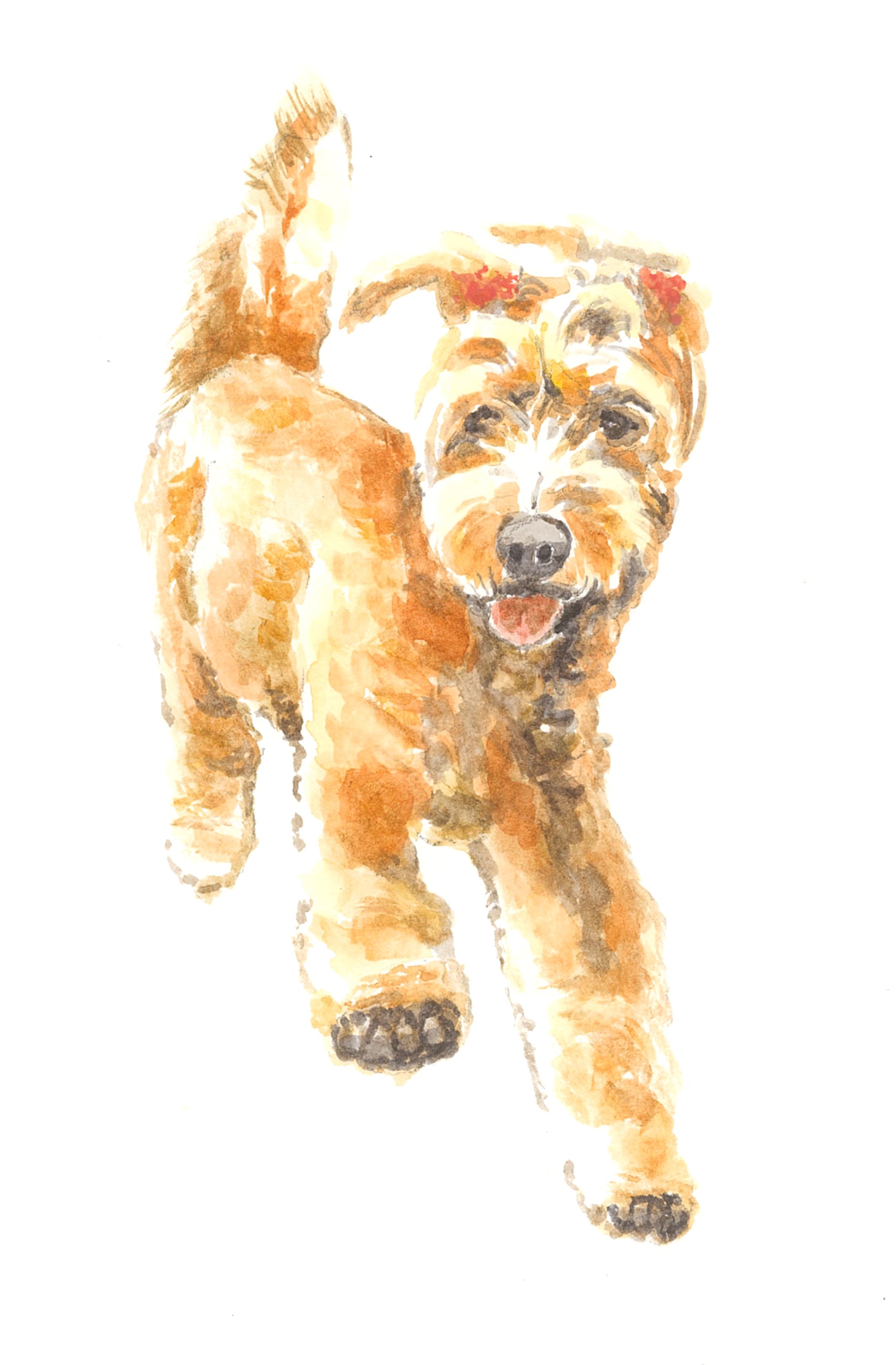 Greeting Card - Groodle