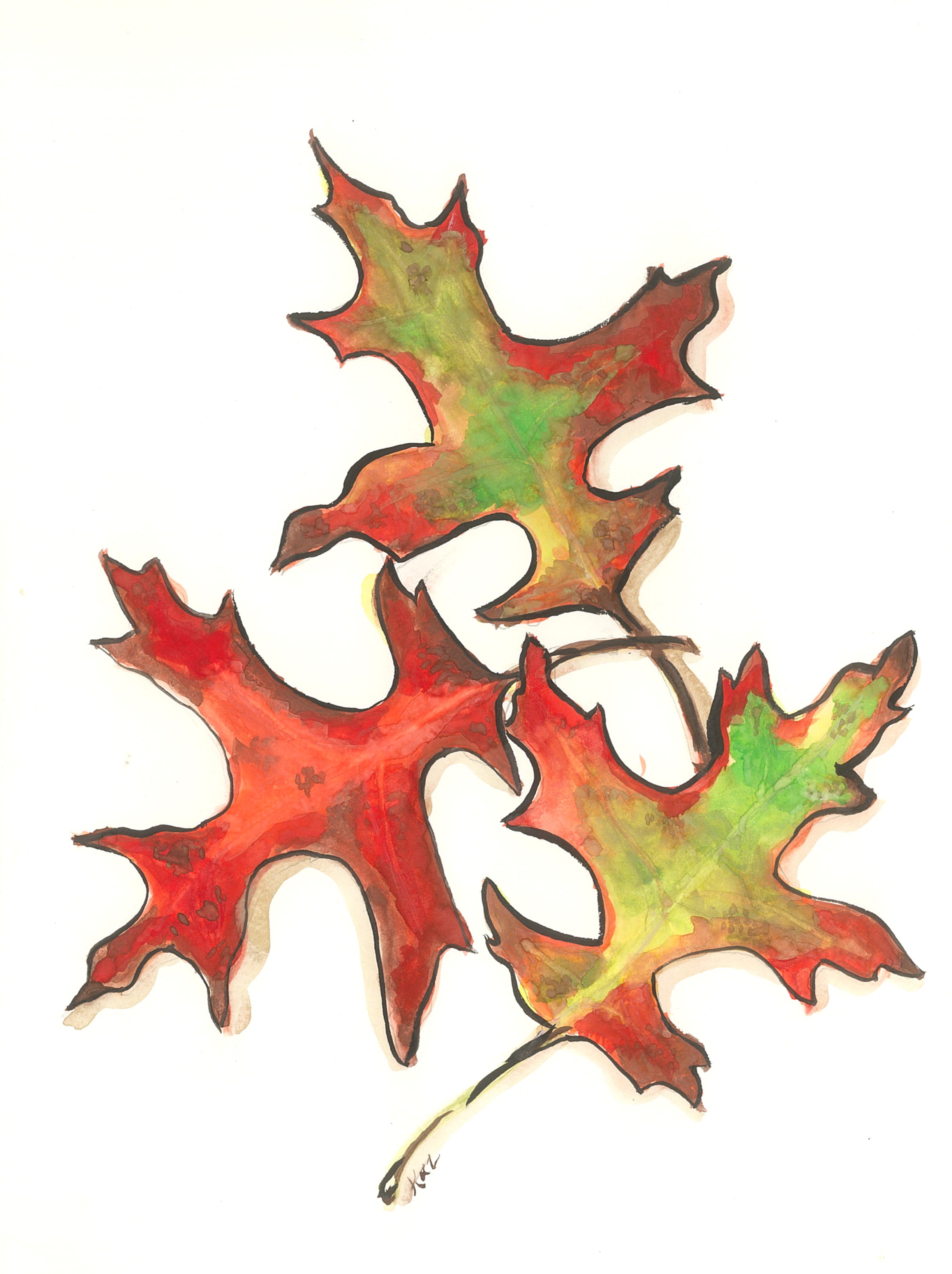 Greeting Card - Autumn Leaves