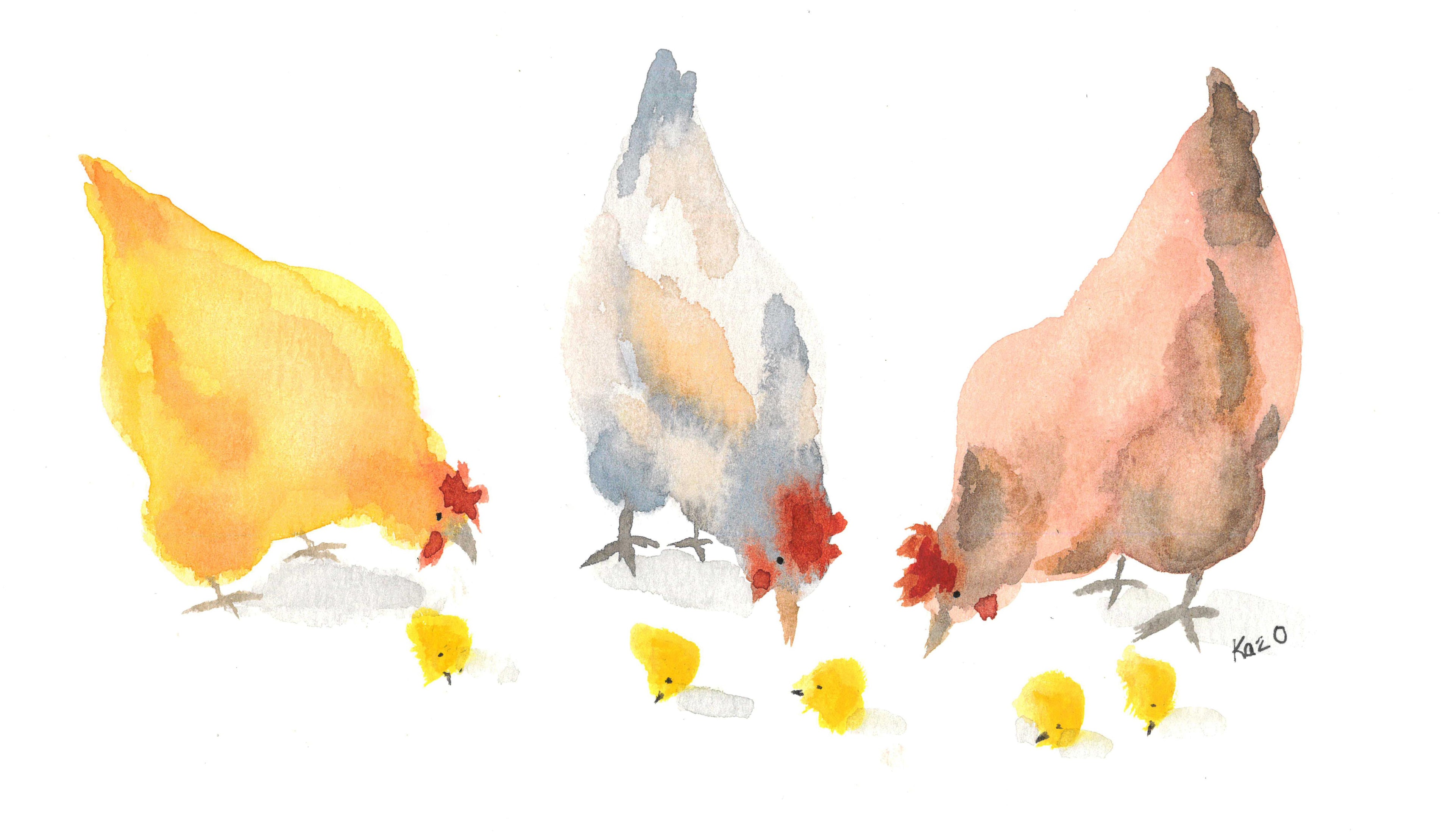 Greeting Card - Hens