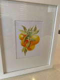 Framed Print of Oranges