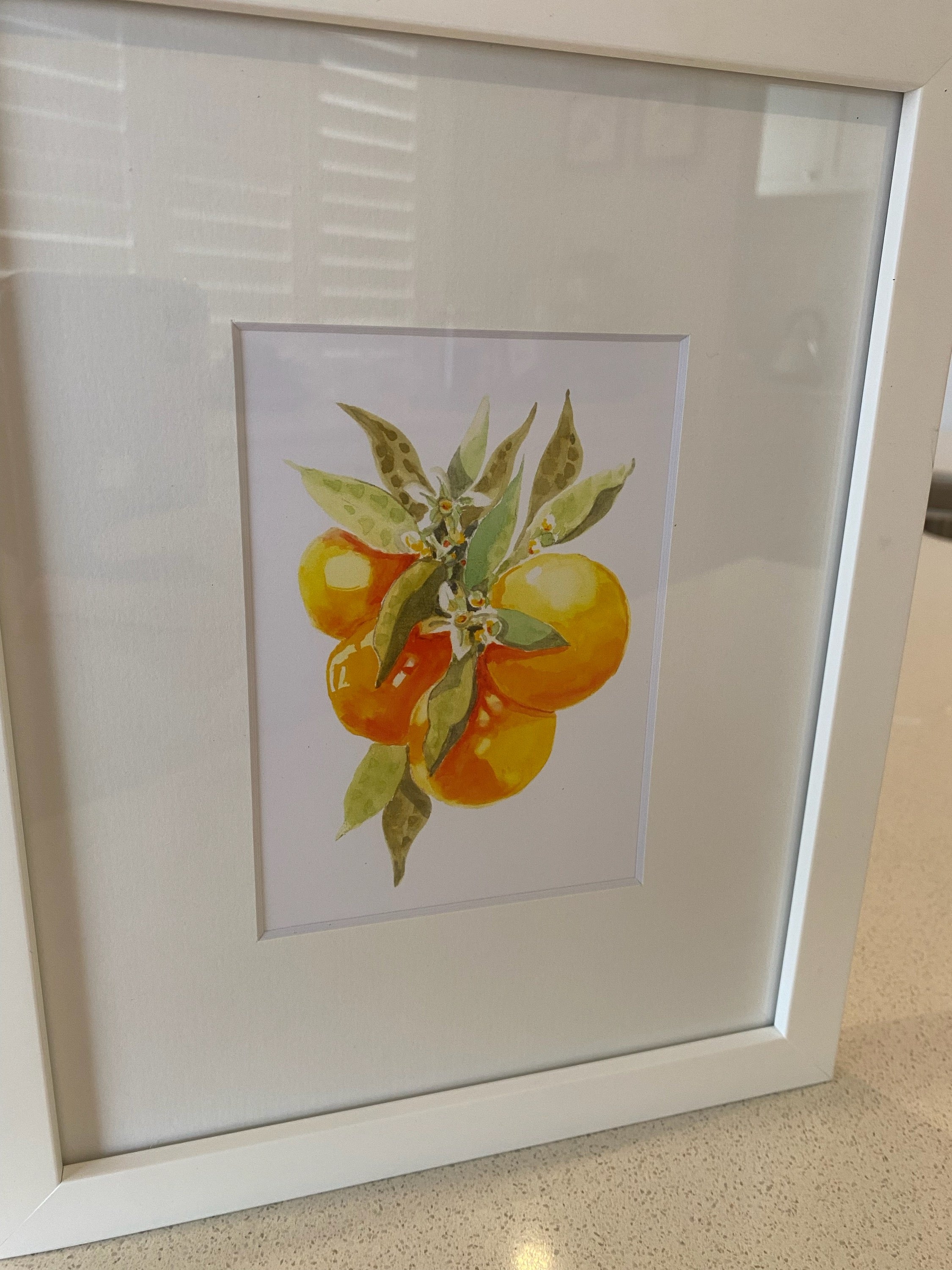 Framed Print of Oranges