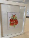 Framed Print of Peaches
