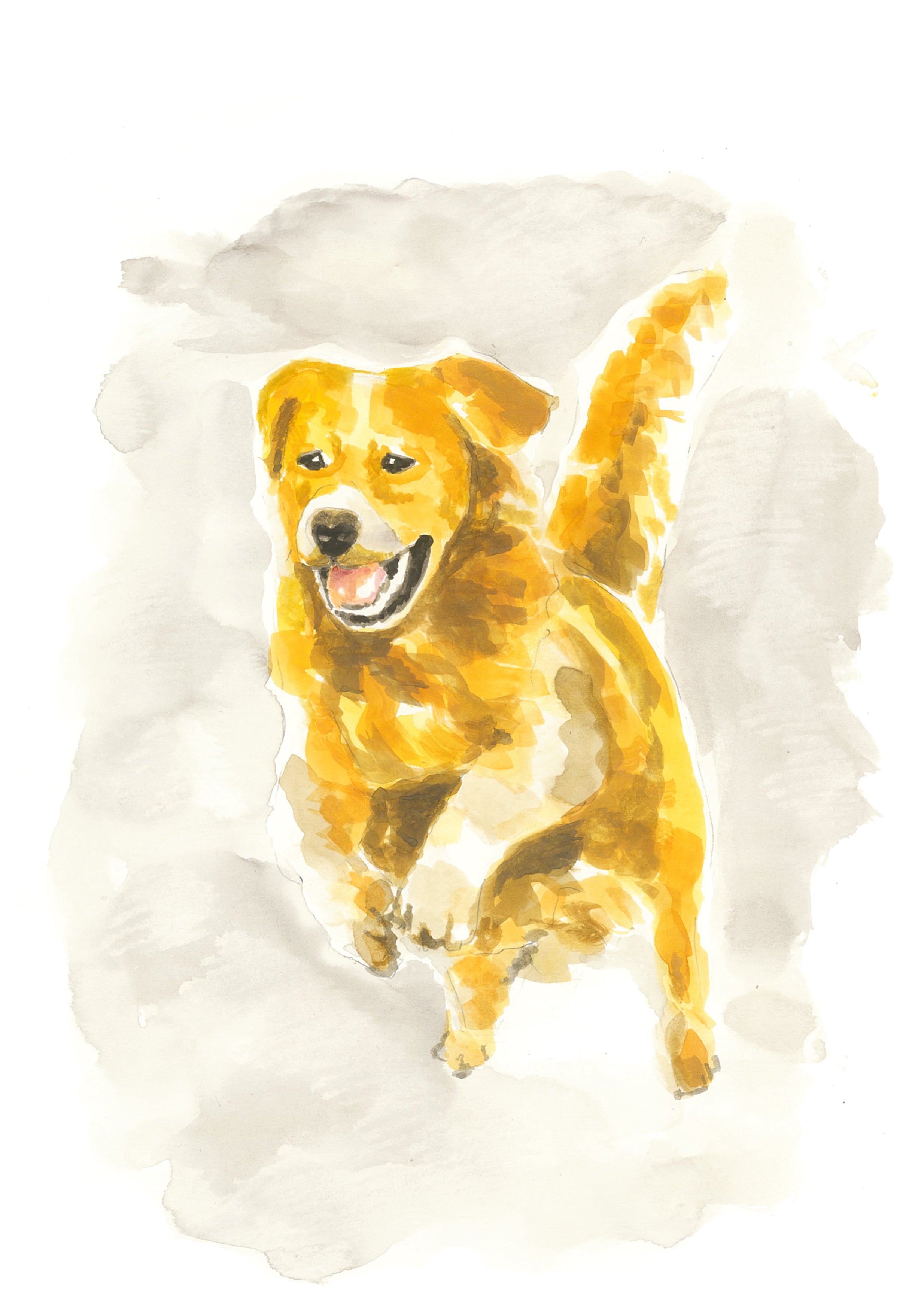 Greeting Card - Golden Retriever