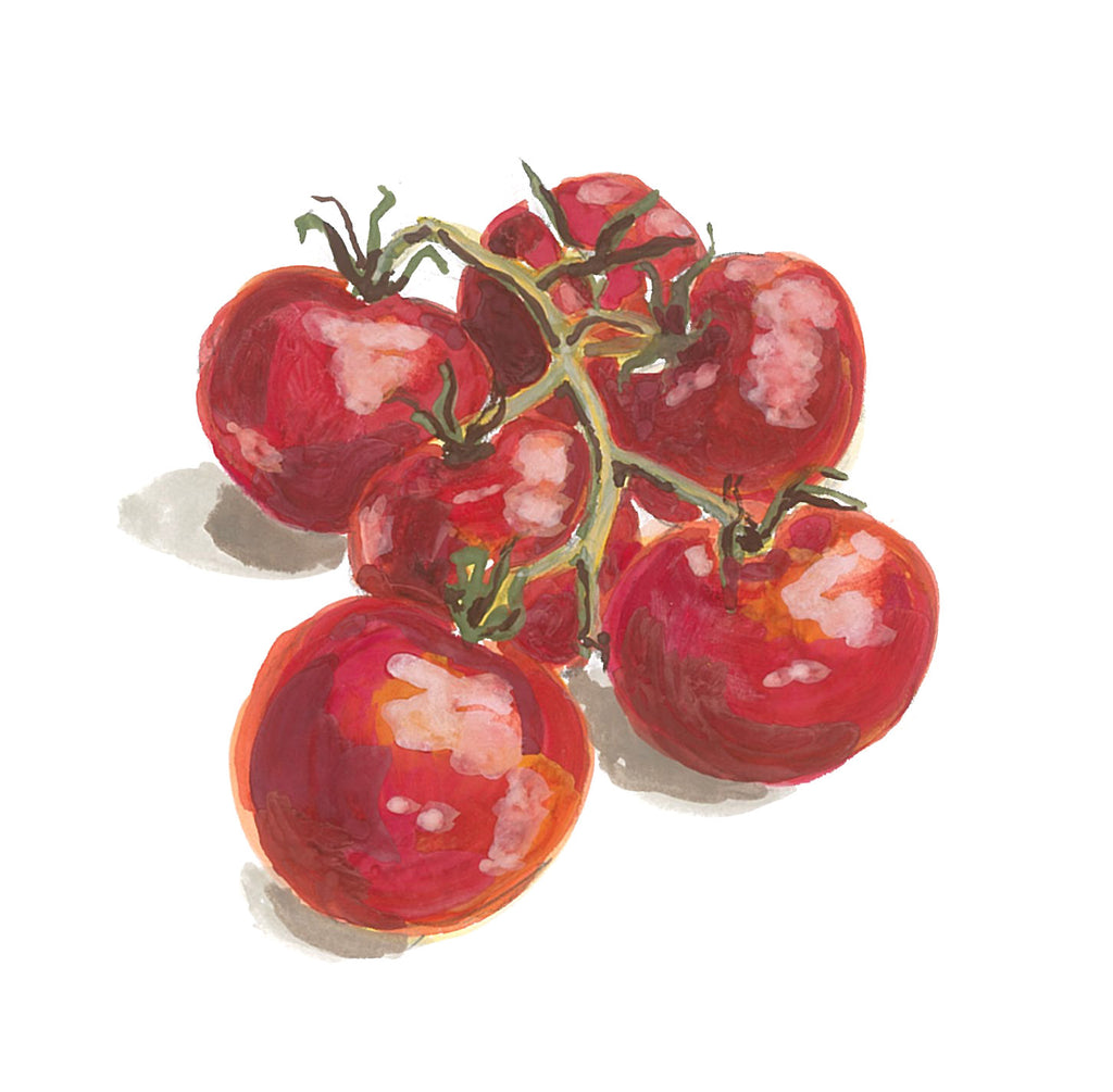 Framed Print (white) - Ripe Tomatoes