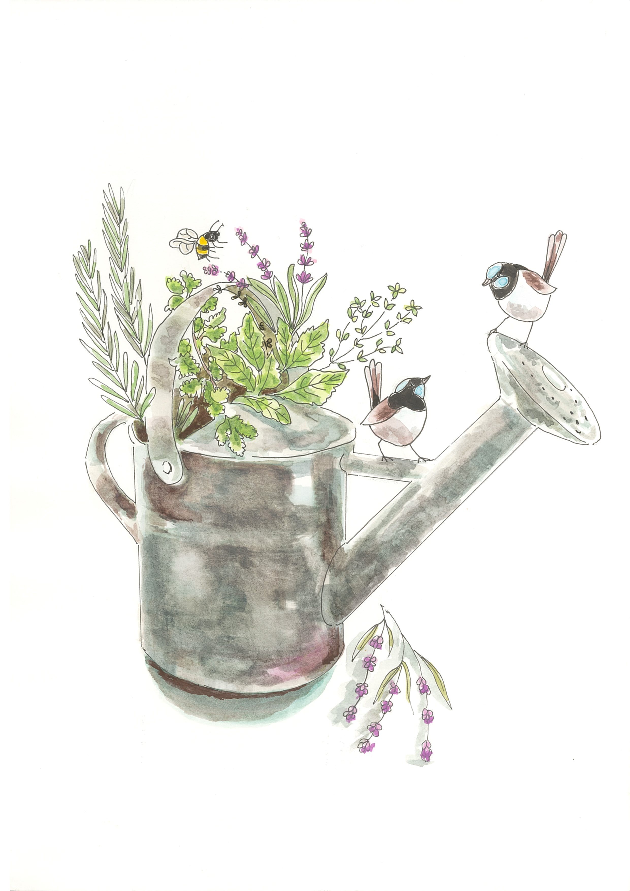 Greeting Card - Wrens on a Watering Can